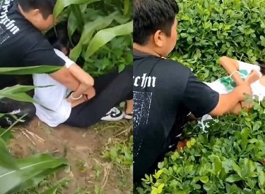 Đụ bạn học hiền lành ở ngoại ô